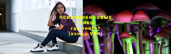 ГАЛЛЮЦИНОГЕННЫЕ ГРИБЫ Алексин