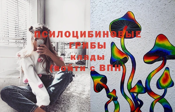 крисы Алзамай